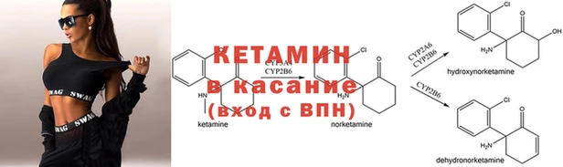 трава Вяземский