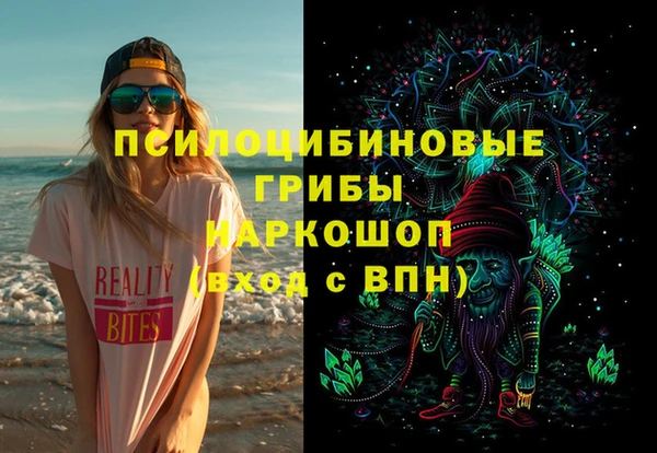 бошки Вязьма