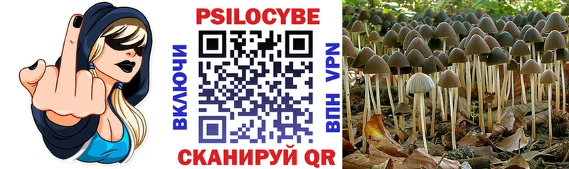 Галлюциногенные грибы GOLDEN TEACHER  Дубовка 